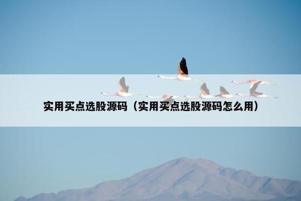 实用买点选股源码（实用买点选股源码怎么用）