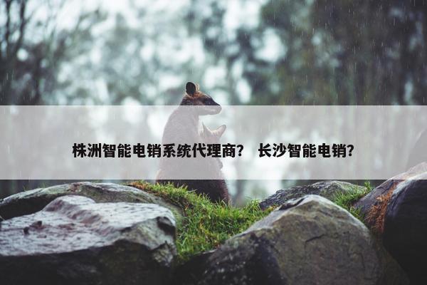 株洲智能电销系统代理商？ 长沙智能电销？