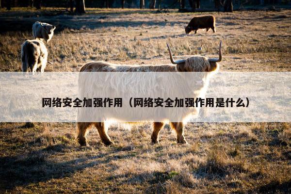 网络安全加强作用（网络安全加强作用是什么）