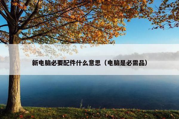 新电脑必要配件什么意思（电脑是必需品）