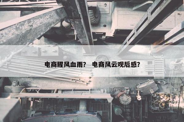 电商腥风血雨？ 电商风云观后感？