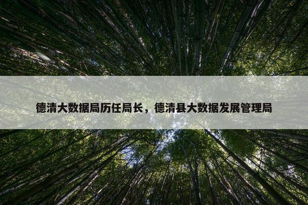 德清大数据局历任局长，德清县大数据发展管理局