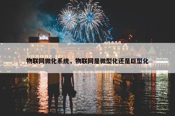 物联网微化系统，物联网是微型化还是巨型化