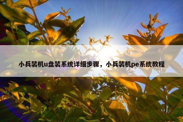小兵装机u盘装系统详细步骤，小兵装机pe系统教程