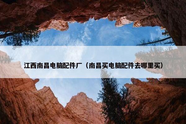 江西南昌电脑配件厂（南昌买电脑配件去哪里买）