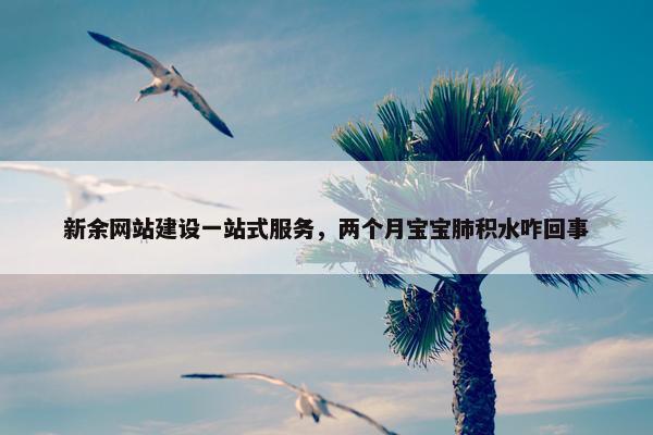 新余网站建设一站式服务，两个月宝宝肺积水咋回事