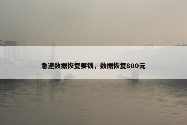 急速数据恢复要钱，数据恢复800元