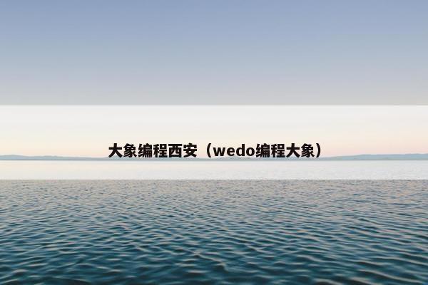 大象编程西安（wedo编程大象）