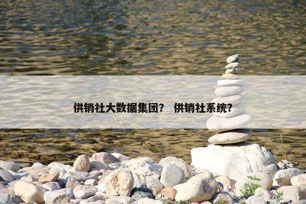 供销社大数据集团？ 供销社系统？