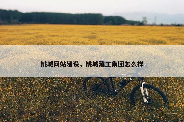 桃城网站建设，桃城建工集团怎么样
