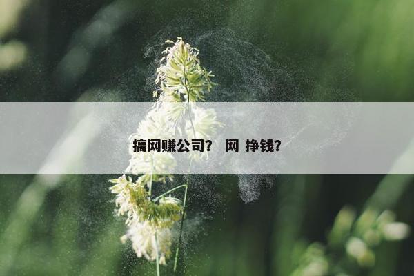 搞网赚公司？ 网 挣钱？