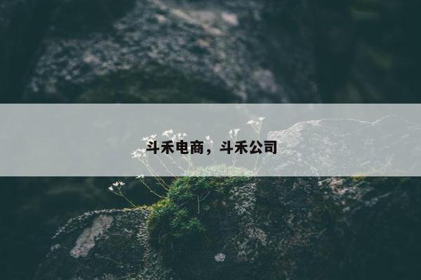 斗禾电商，斗禾公司
