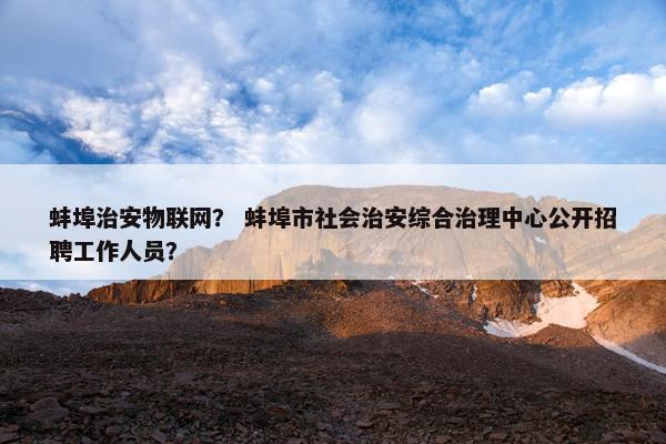 蚌埠治安物联网？ 蚌埠市社会治安综合治理中心公开招聘工作人员？