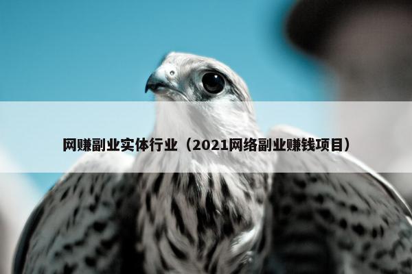 网赚副业实体行业（2021网络副业赚钱项目）