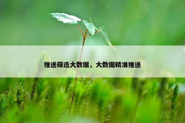 推送筛选大数据，大数据精准推送