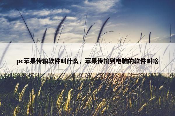 pc苹果传输软件叫什么，苹果传输到电脑的软件叫啥