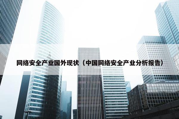 网络安全产业国外现状（中国网络安全产业分析报告）