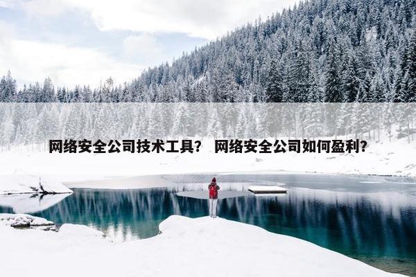 网络安全公司技术工具？ 网络安全公司如何盈利？