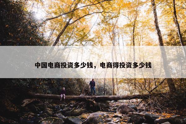 中国电商投资多少钱，电商得投资多少钱