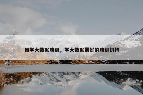 谁学大数据培训，学大数据最好的培训机构