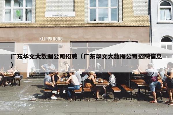 广东华文大数据公司招聘（广东华文大数据公司招聘信息）