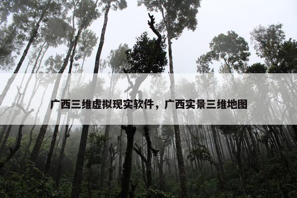 广西三维虚拟现实软件，广西实景三维地图