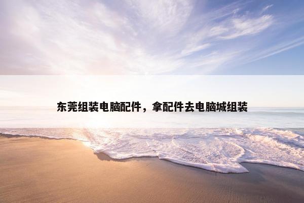 东莞组装电脑配件，拿配件去电脑城组装