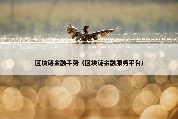 区块链金融手势（区块链金融服务平台）