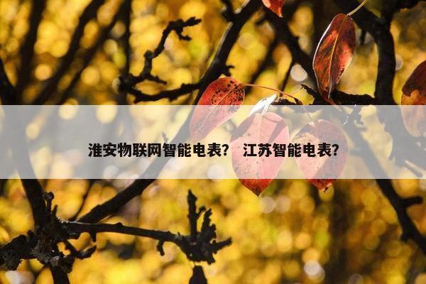 淮安物联网智能电表？ 江苏智能电表？