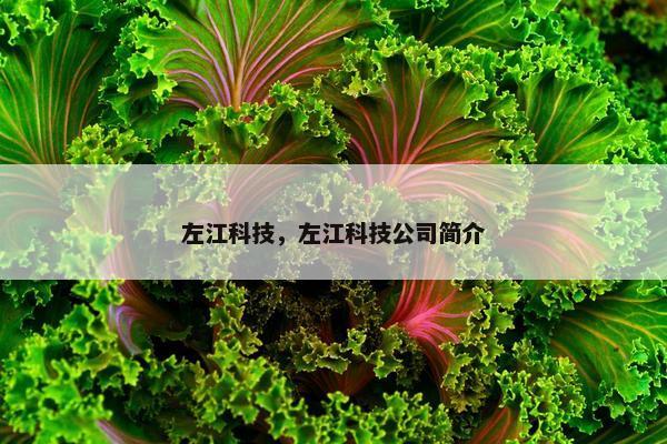 左江科技，左江科技公司简介