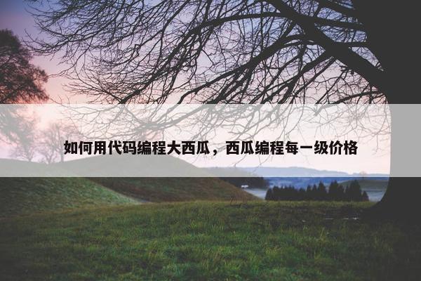 如何用代码编程大西瓜，西瓜编程每一级价格