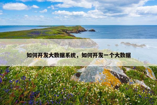 如何开发大数据系统，如何开发一个大数据