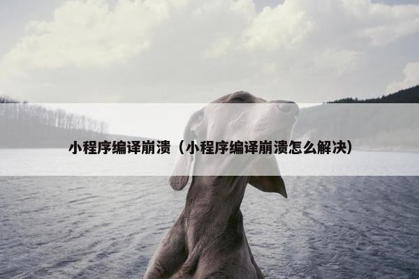 小程序编译崩溃（小程序编译崩溃怎么解决）