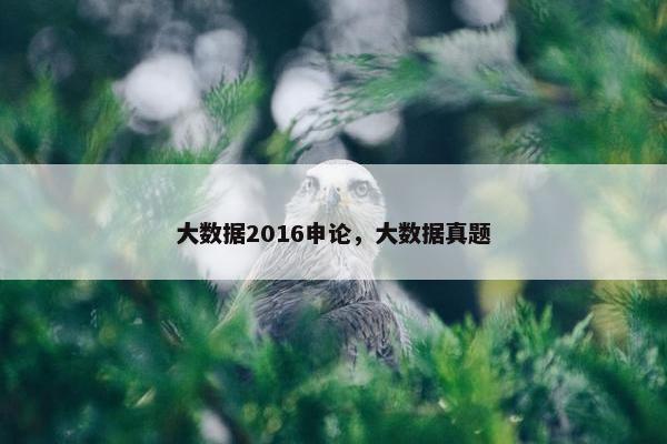 大数据2016申论，大数据真题