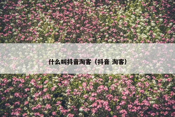 什么叫抖音淘客（抖音 淘客）