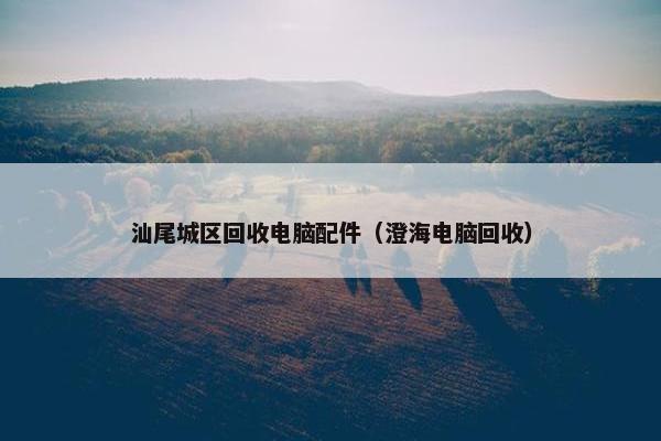 汕尾城区回收电脑配件（澄海电脑回收）