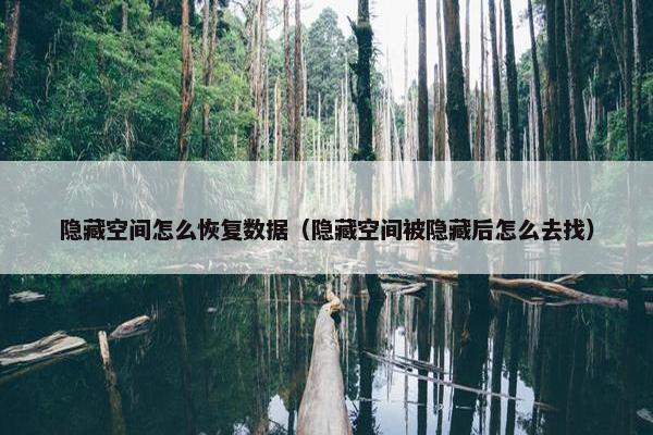 隐藏空间怎么恢复数据（隐藏空间被隐藏后怎么去找）