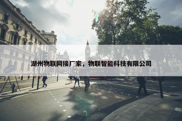 湖州物联网接厂家，物联智能科技有限公司