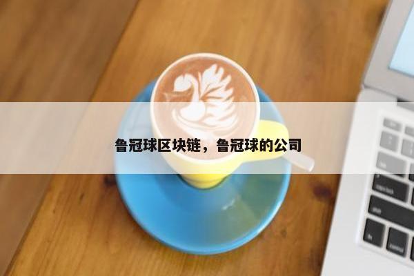 鲁冠球区块链，鲁冠球的公司