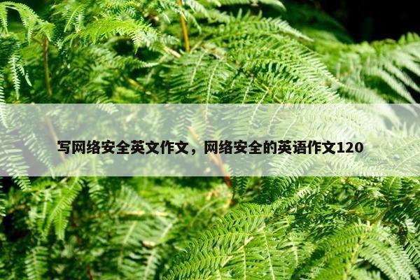 写网络安全英文作文，网络安全的英语作文120