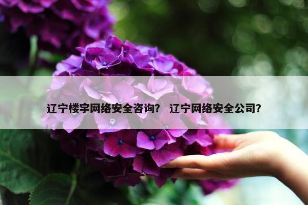 辽宁楼宇网络安全咨询？ 辽宁网络安全公司？