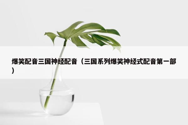 爆笑配音三国神经配音（三国系列爆笑神经式配音第一部）