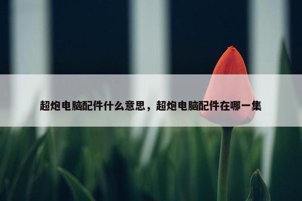 超炮电脑配件什么意思，超炮电脑配件在哪一集