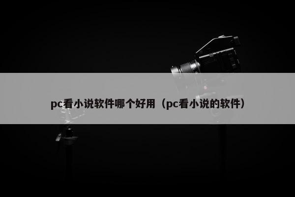 pc看小说软件哪个好用（pc看小说的软件）