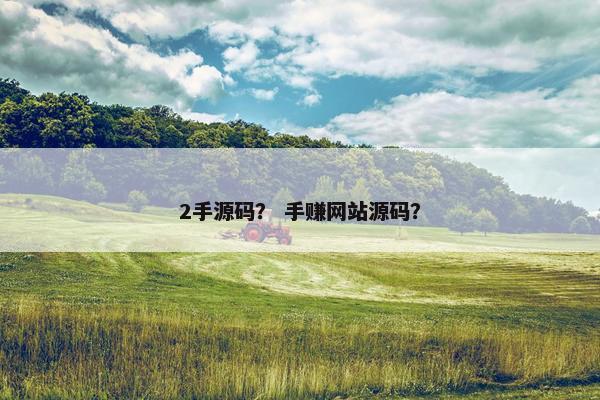 2手源码？ 手赚网站源码？