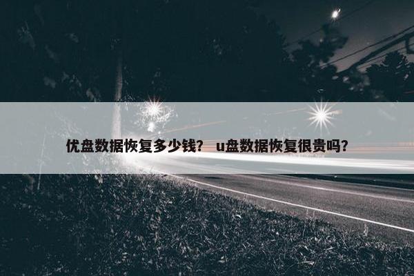 优盘数据恢复多少钱？ u盘数据恢复很贵吗？