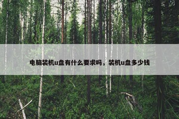 电脑装机u盘有什么要求吗，装机u盘多少钱