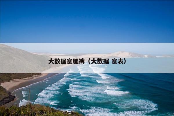 大数据宽腿裤（大数据 宽表）