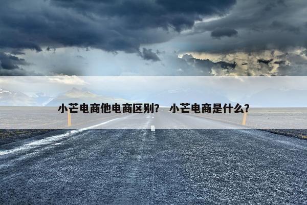 小芒电商他电商区别？ 小芒电商是什么？