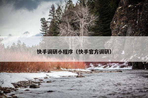 快手调研小程序（快手官方调研）